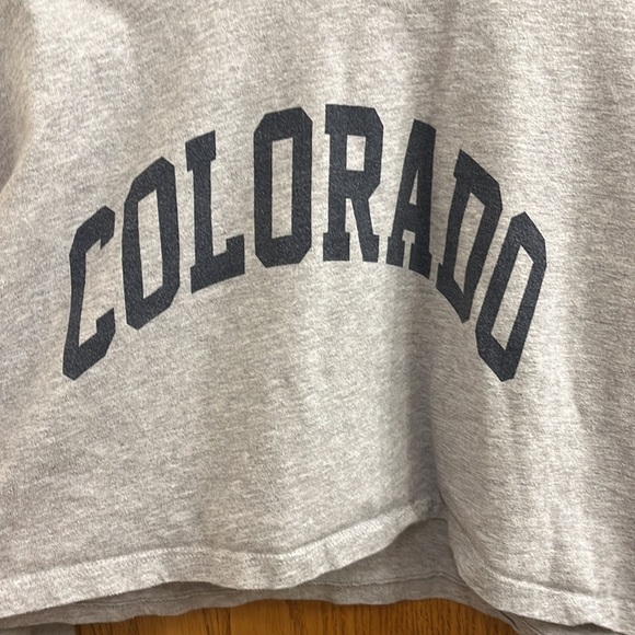 Brandy Melville Colorado Grey Long sleeve top - Picture 4 of 8